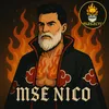 mse_nico