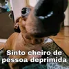 esgddz