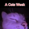 a_l_s_on