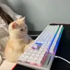 leo_mimichiro