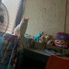 daphnez_moon