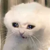 ._.mugiwara_