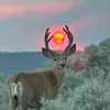 prfctlyimprfct10