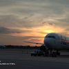 emiratesairlines102467