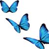 fran_pancha1