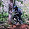 timberrides