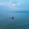 frans_569
