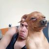pjcercado
