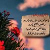 ksa_____513