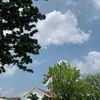 _nyoi29