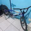 calontaruna033