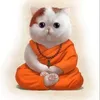 phuoc_duong87