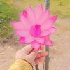ebrahim.dewan6
