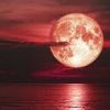 june2moon