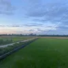 molbinbap