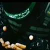 muhammadavisavis8