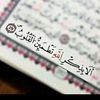 asmaa3038