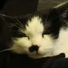 frendly_wrench
