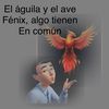 503fenix7