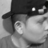 ardidholpin