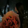 taqanaa550