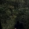 www.tiktok.comegatputra