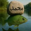 dy202qen3j2f