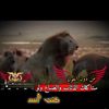 dyt8jo1gwzhd