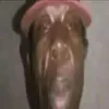 derikkdk