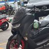 encaigrisa_