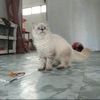 fitrymey770