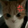 jaopedr0_u