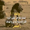 dypbgh68ht6d