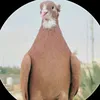atthecoverarticleasithav