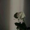 alfaqir.h