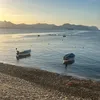 michelele320