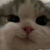 sandi.lwin01