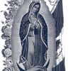 josemorales25479