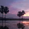anhthang_1999