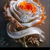 sandramedina5273