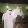 hamoudalsafy