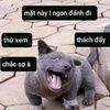 langkhach_19