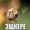 mishanya_197