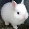 kthjjk_9597