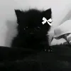 nixmirroxxtt