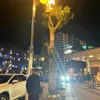kuli_gifu