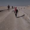 al_wadani3