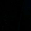 nocis24