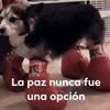 alberto091003