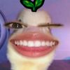 llupi.is.here